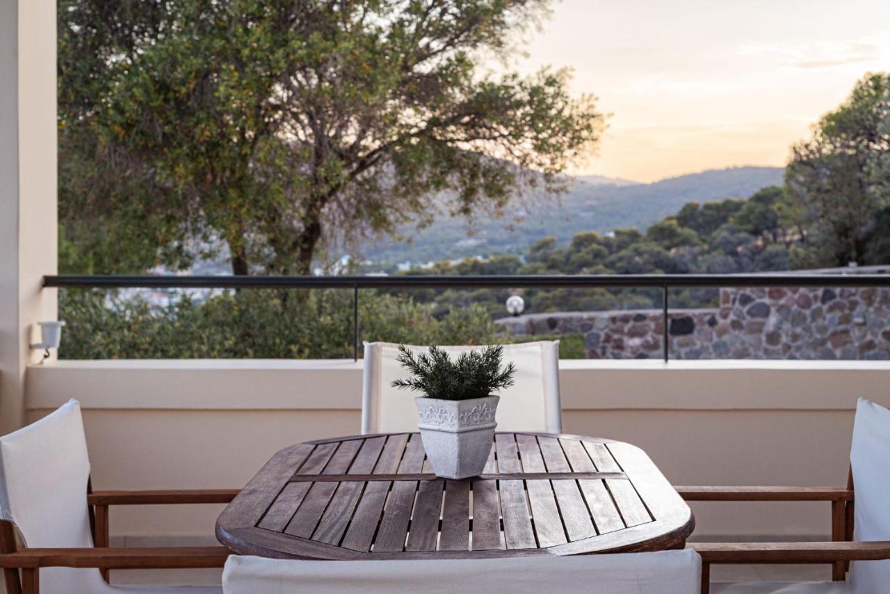 Agia Marina  Aphaia Villa & Residences Aegina מראה חיצוני תמונה